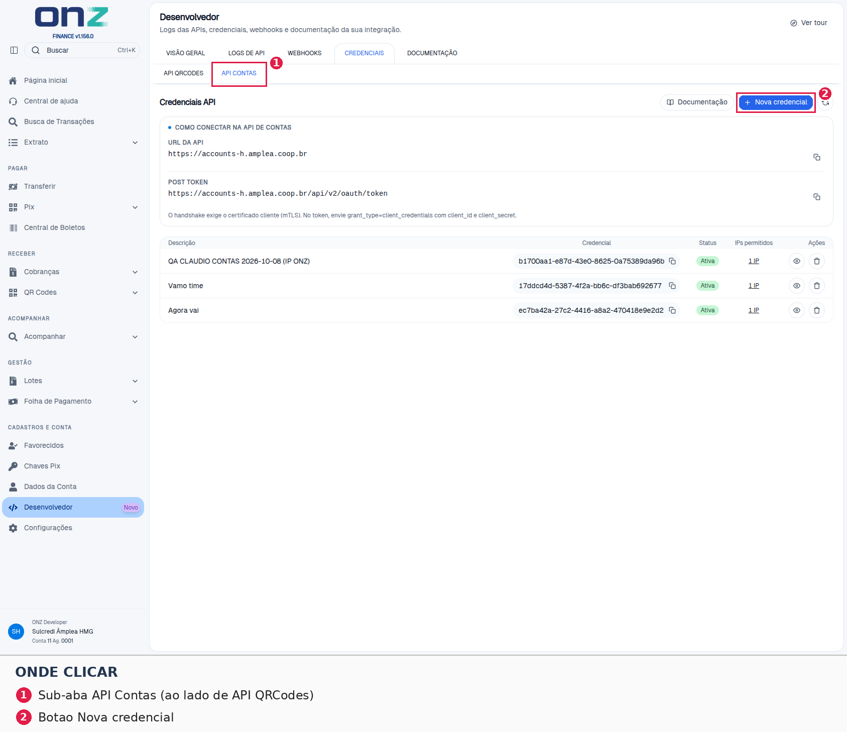Troque para a sub-aba API Contas