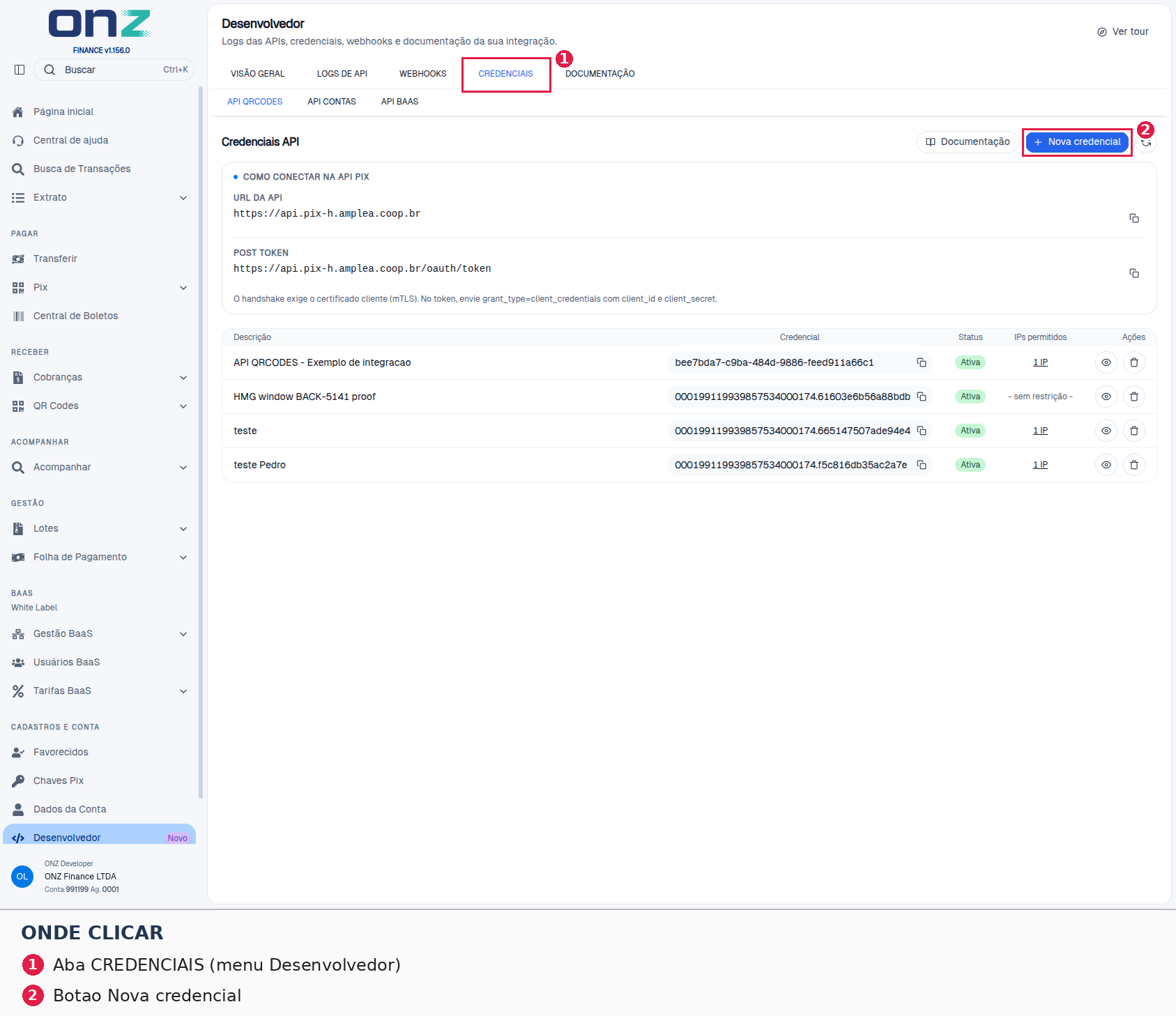 Portal Finance (homologação): aba CREDENCIAIS e o botão Nova credencial