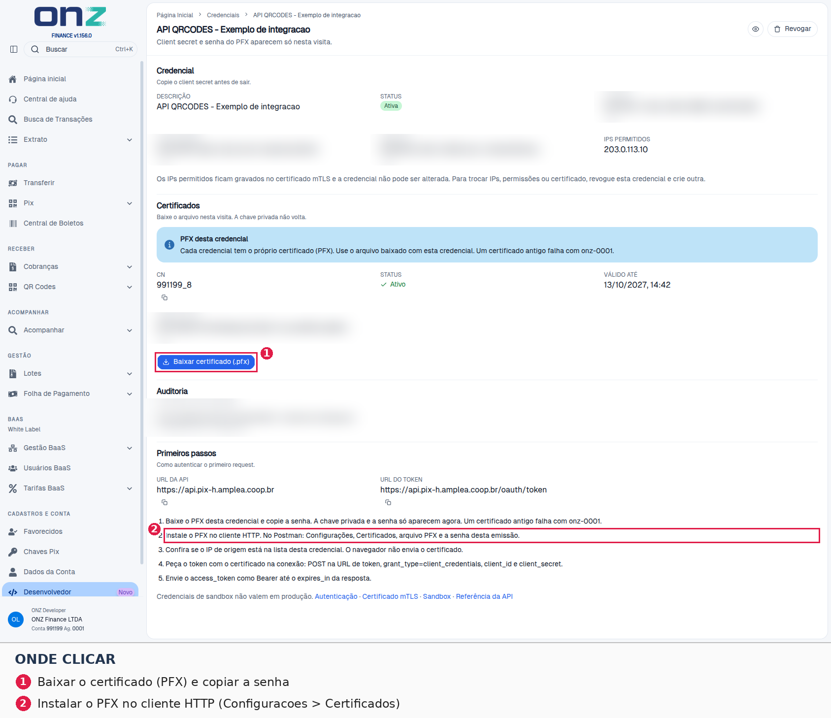 Após gerar: baixe o PFX e guarde o client_id, o client_secret e a senha