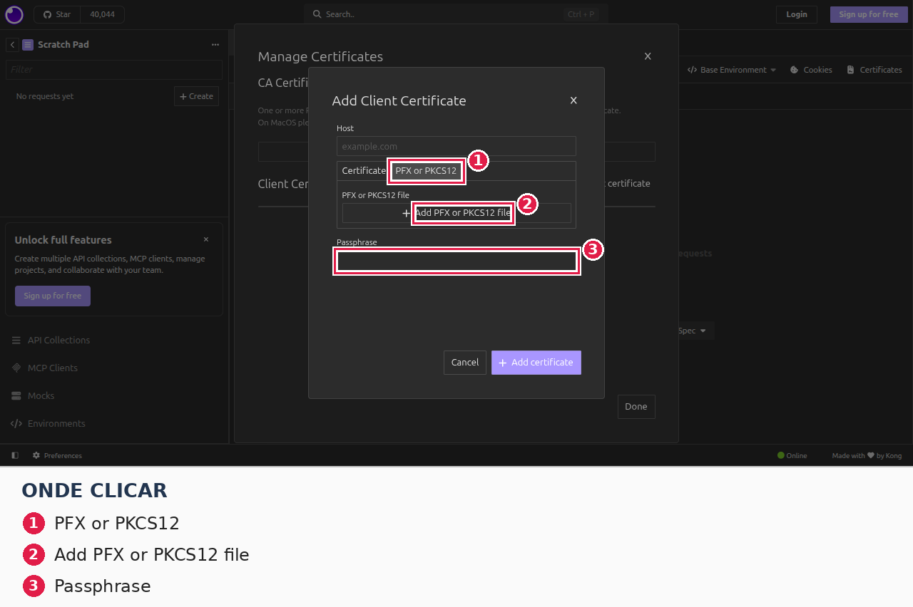 Insomnia: mesmo formulário no modo PFX or PKCS12